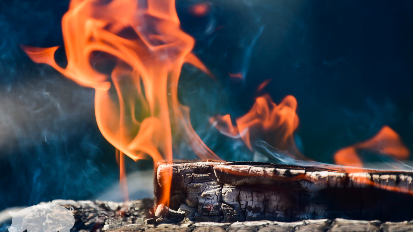 4000 years and counting: Why charcoal still reigns supreme in the kitchen